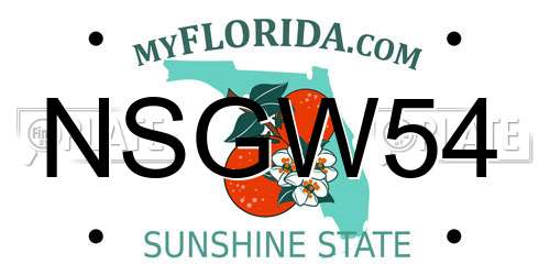 NSGW54 Florida License Plate