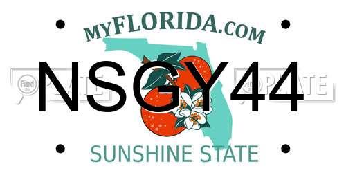 NSGY44 Florida License Plate