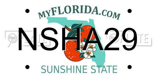 NSHA29 Florida License Plate