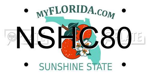 NSHC80 Florida License Plate