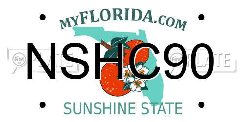 NSHC90 Florida License Plate