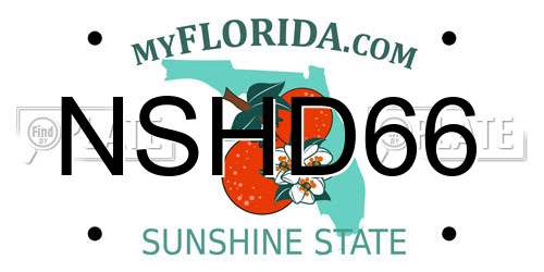 NSHD66 Florida License Plate