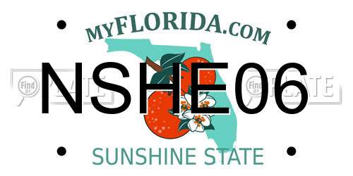 NSHE06 Florida License Plate