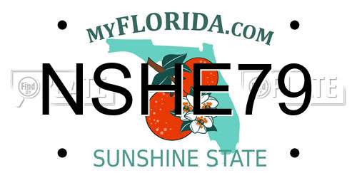 NSHE79 Florida License Plate
