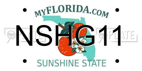 NSHG11 Florida License Plate