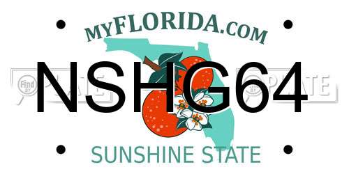 NSHG64 Florida License Plate