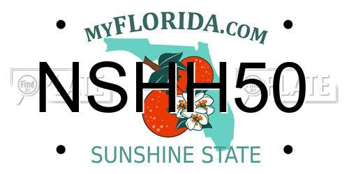 NSHH50 Florida License Plate
