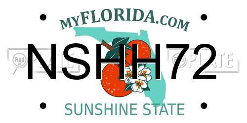 NSHH72 Florida License Plate