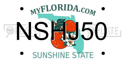 NSHJ50 Florida License Plate