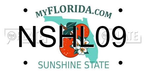 NSHL09 Florida License Plate