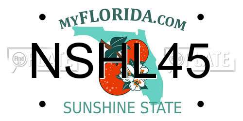 NSHL45 Florida License Plate