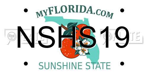 NSHS19 Florida License Plate