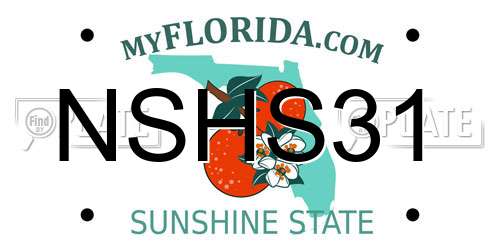 NSHS31 Florida License Plate