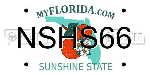 NSHS66 Florida License Plate