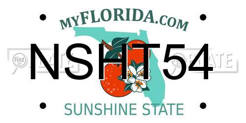 NSHT54 Florida License Plate