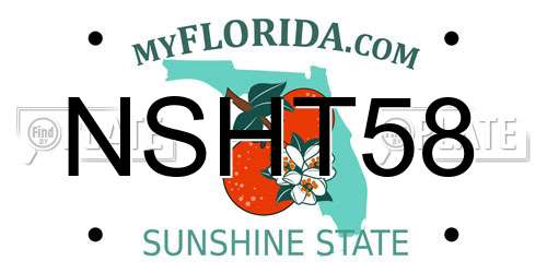 NSHT58 Florida License Plate