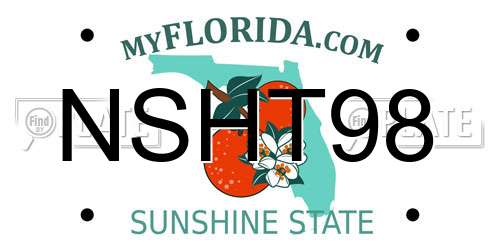 NSHT98 Florida License Plate