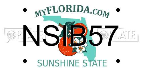 NSIB57 Florida License Plate