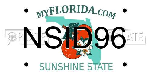 NSID96 Florida License Plate