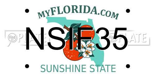 NSIF35 Florida License Plate