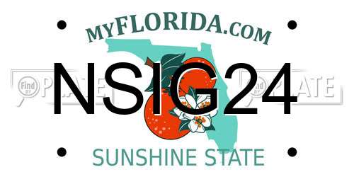 NSIG24 Florida License Plate