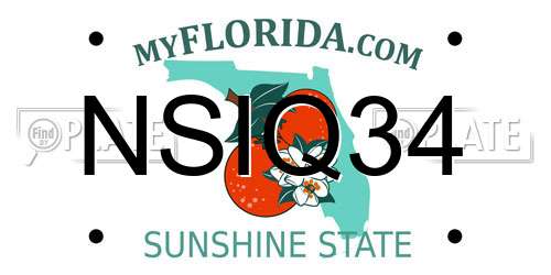 NSIQ34 Florida License Plate