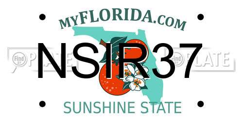 NSIR37 Florida License Plate