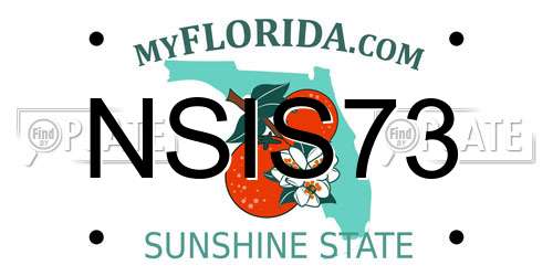 NSIS73 Florida License Plate