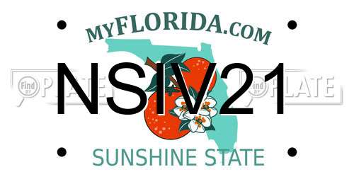 NSIV21 Florida License Plate