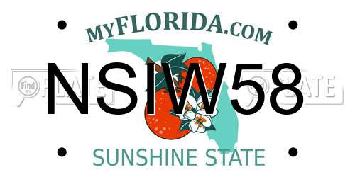NSIW58 Florida License Plate
