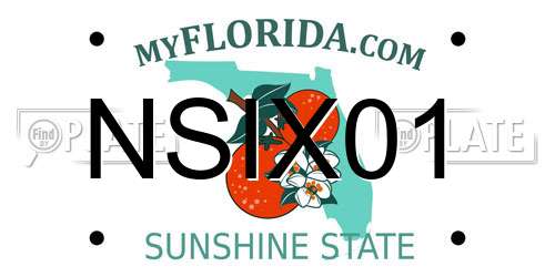 NSIX01 Florida License Plate