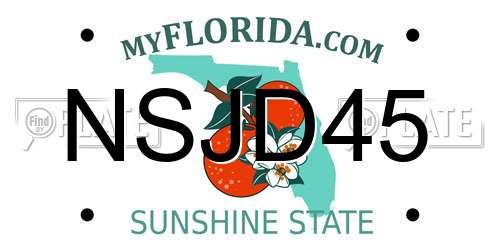NSJD45 Florida License Plate
