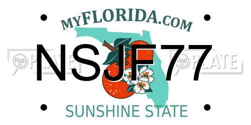 NSJF77 Florida License Plate