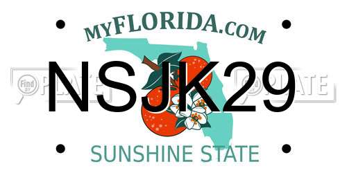 NSJK29 Florida License Plate