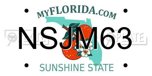 NSJM63 Florida License Plate