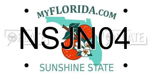 NSJN04 Florida License Plate