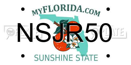 NSJR50 Florida License Plate