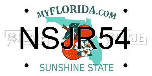 NSJR54 Florida License Plate