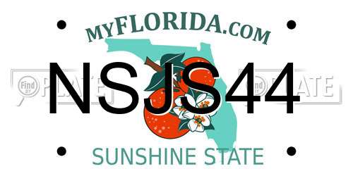 NSJS44 Florida License Plate