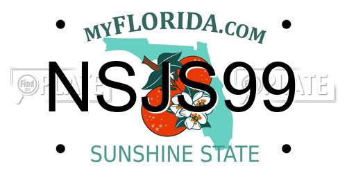NSJS99 Florida License Plate