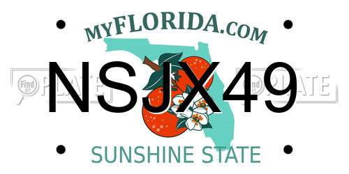 NSJX49 Florida License Plate