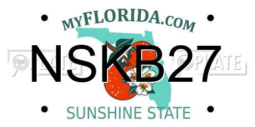 NSKB27 Florida License Plate
