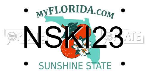 NSKI23 Florida License Plate