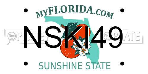 NSKI49 Florida License Plate