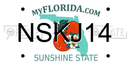 NSKJ14 Florida License Plate