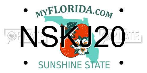 NSKJ20 Florida License Plate