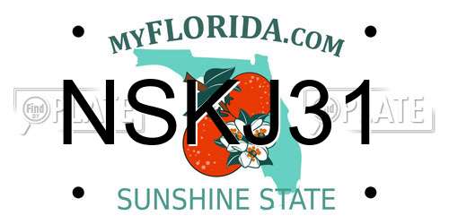 NSKJ31 Florida License Plate