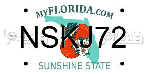 NSKJ72 Florida License Plate