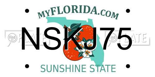 NSKJ75 Florida License Plate