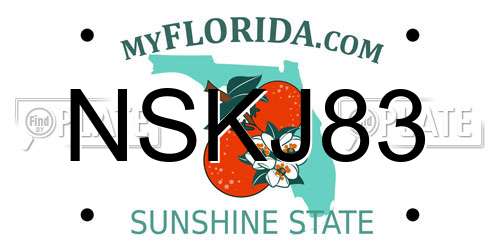 NSKJ83 Florida License Plate